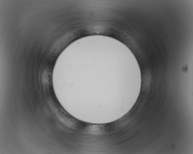 X0000115540126200912181538