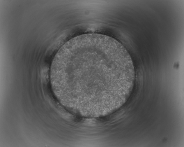 X0000115540127200912181538