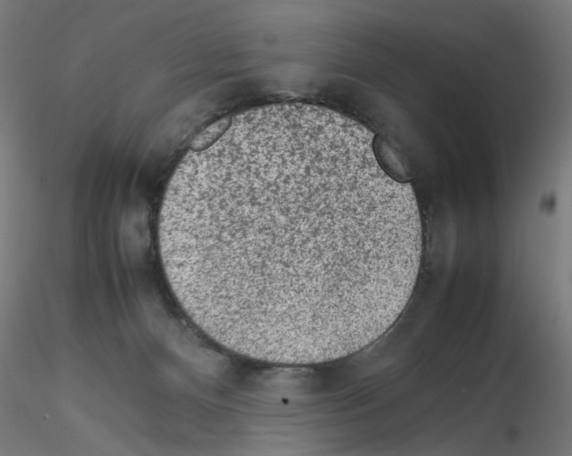 X0000115540128200912181538