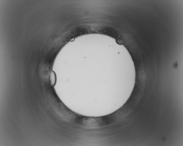 X0000115540129200912181538