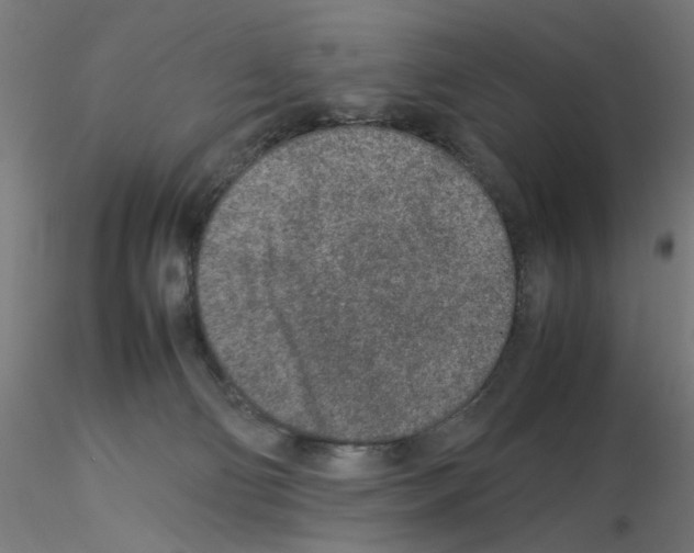 X0000115540130200912181538
