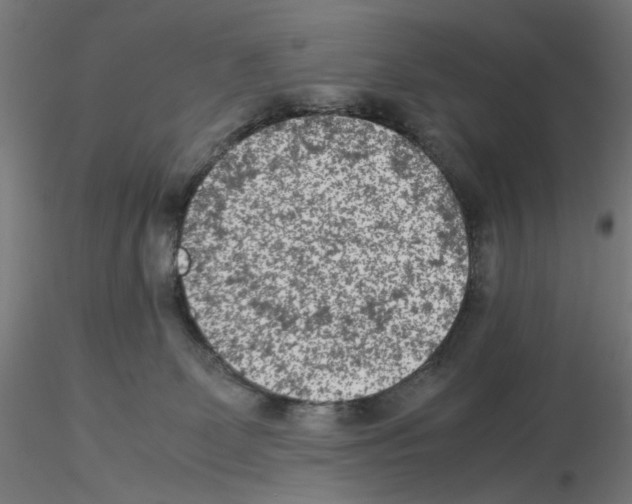 X0000115540131200912181538
