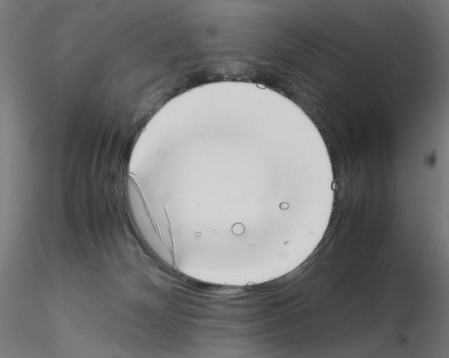 X0000115540132200912181538