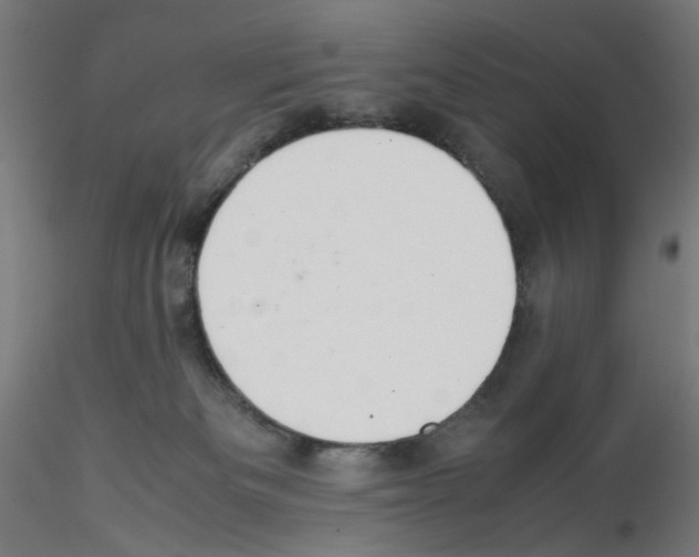 X0000115540133200912181538
