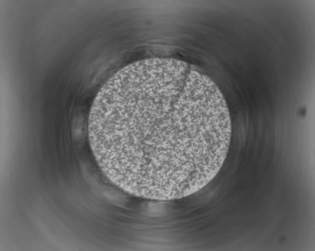 X0000115540134200912181538