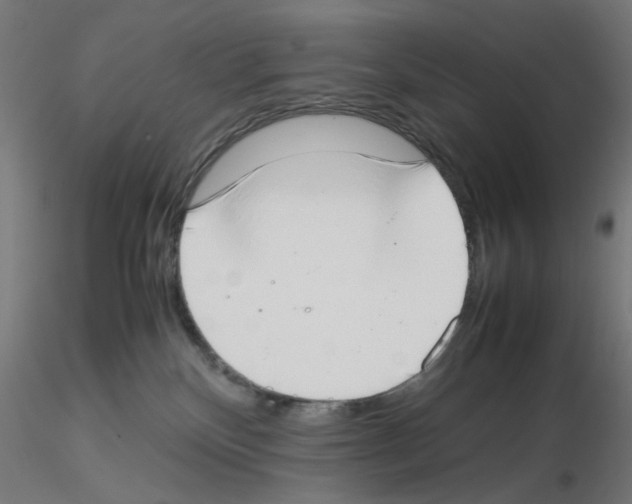 X0000115540136200912181538