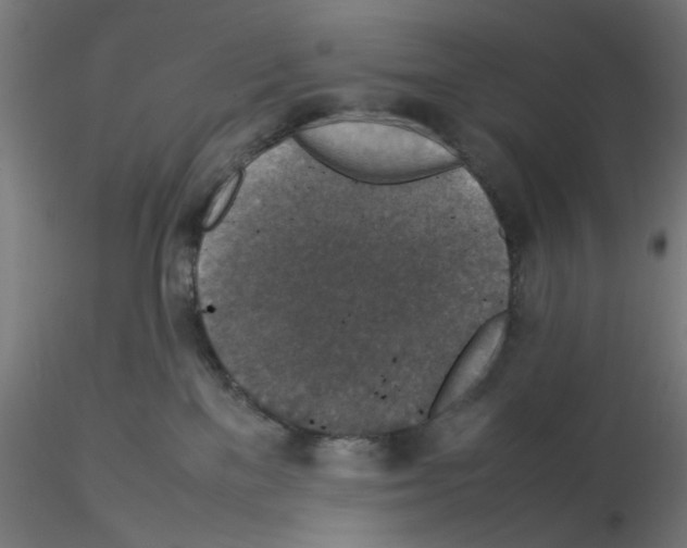 X0000115540137200912181538