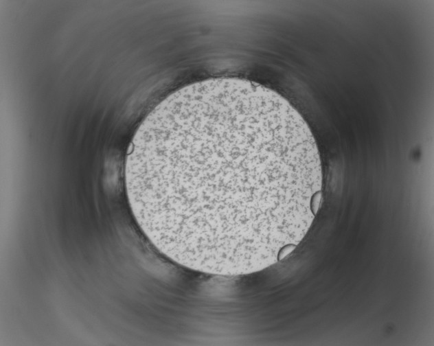 X0000115540138200912181538