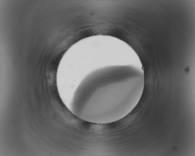 X0000115540139200912181538