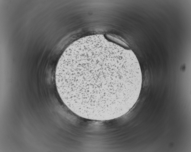 X0000115540140200912181538