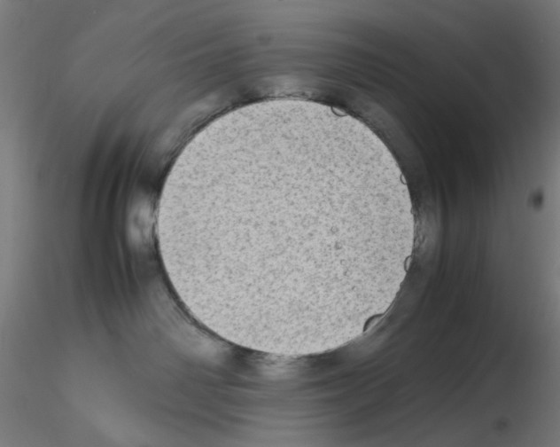 X0000115540142200912181538