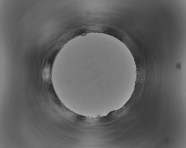 X0000115540143200912181538