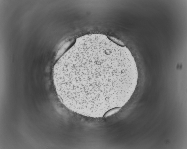 X0000115540144200912181538
