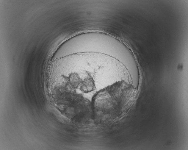 X0000115540145200912181537