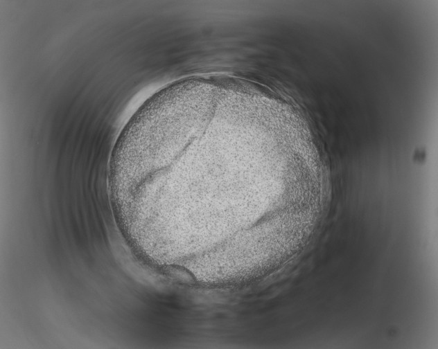 X0000115540147200912181537