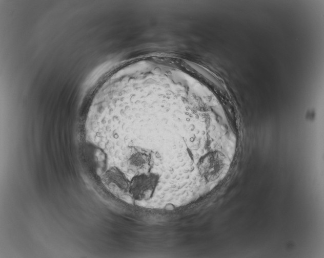 X0000115540149200912181537