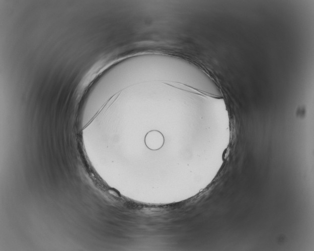 X0000115540150200912181537