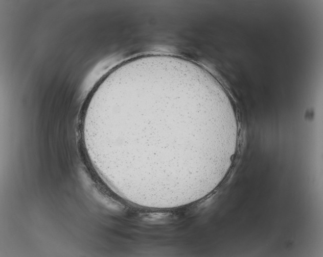 X0000115540151200912181537