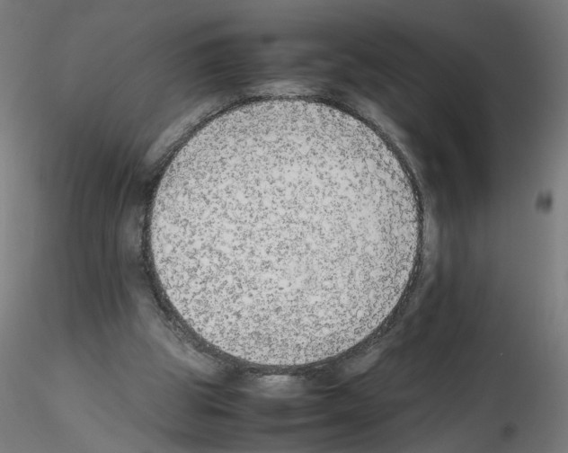 X0000115540153200912181537