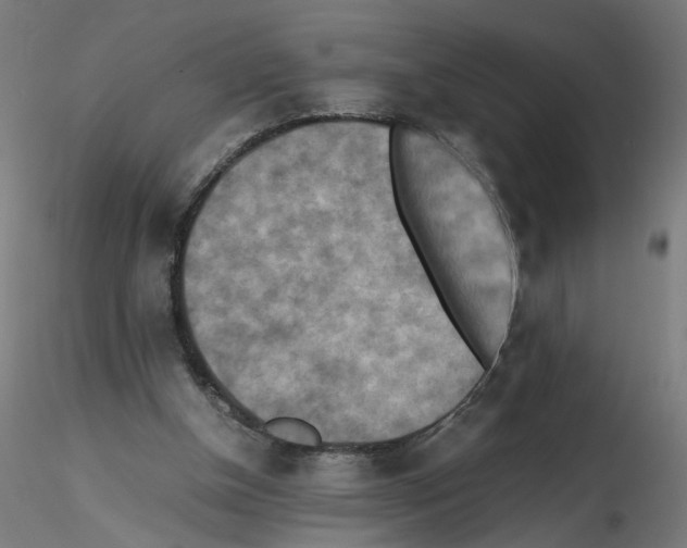 X0000115540154200912181537