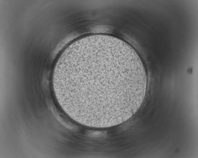 X0000115540155200912181537