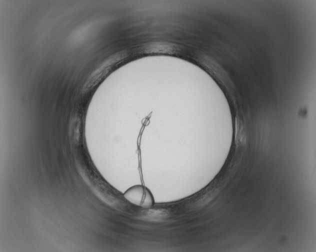 X0000115540157200912181537