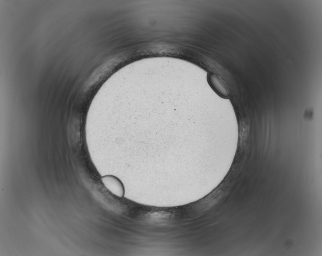 X0000115540158200912181537