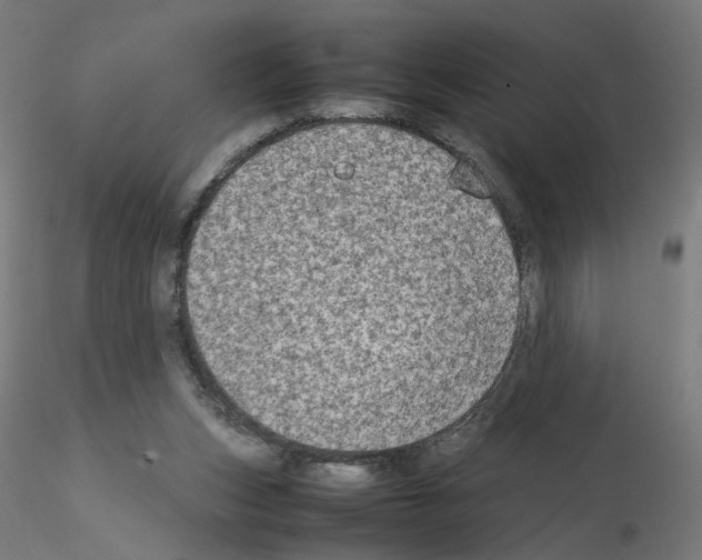 X0000115540159200912181537