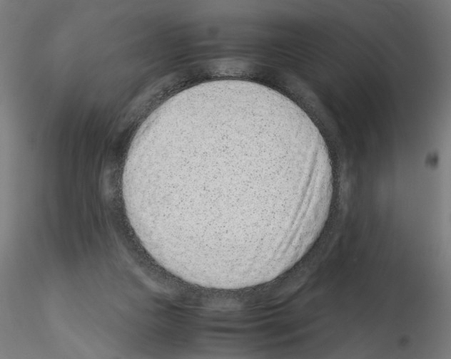 X0000115540161200912181537