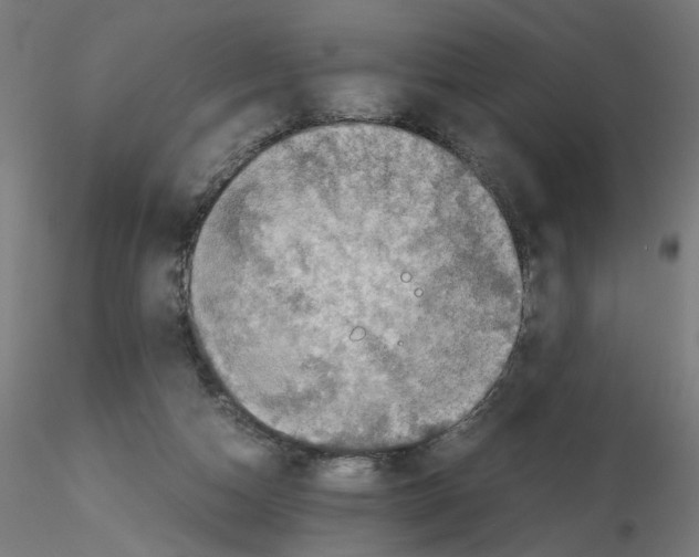 X0000115540162200912181537