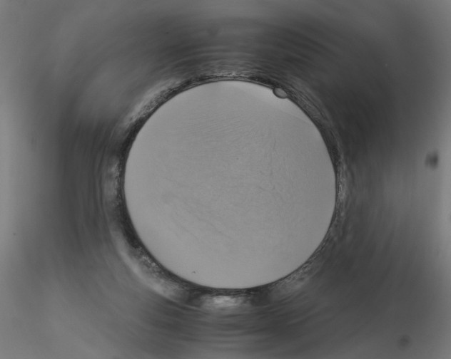 X0000115540163200912181537