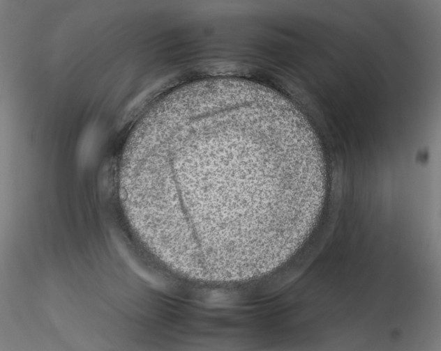 X0000115540165200912181537
