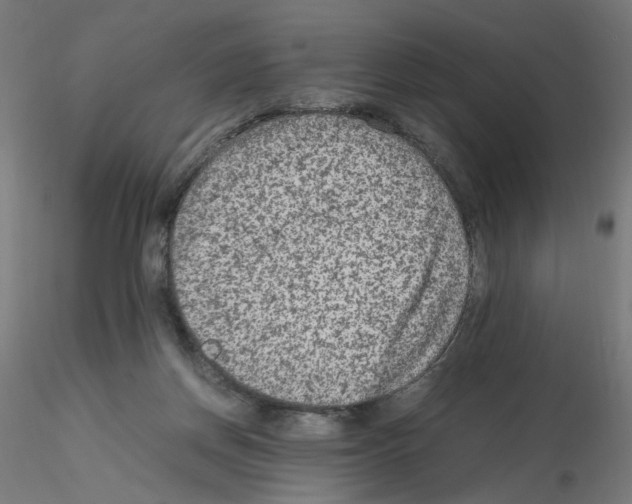 X0000115540166200912181537