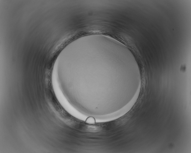 X0000115540167200912181537