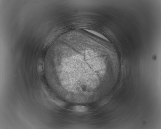 X0000115540169200912181537