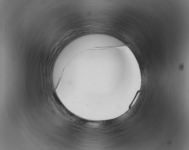 X0000115540170200912181537
