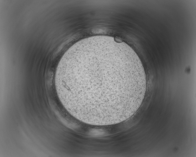 X0000115540171200912181537