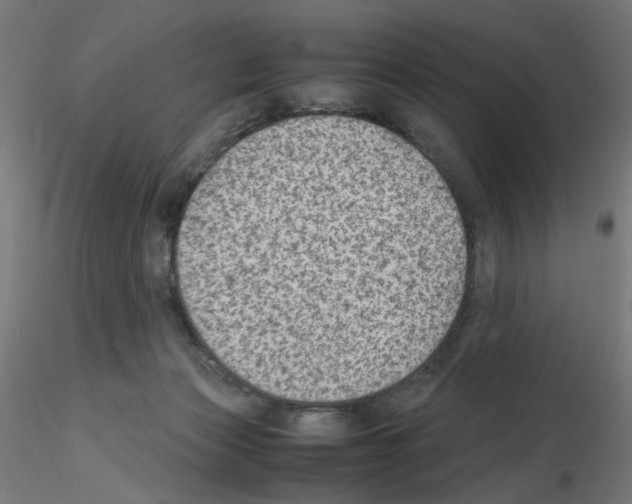 X0000115540173200912181537