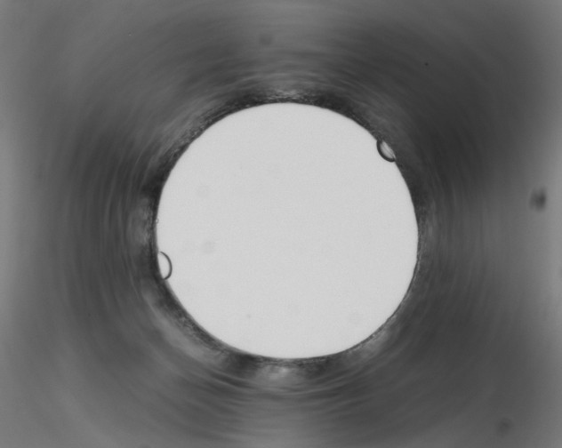 X0000115540174200912181537