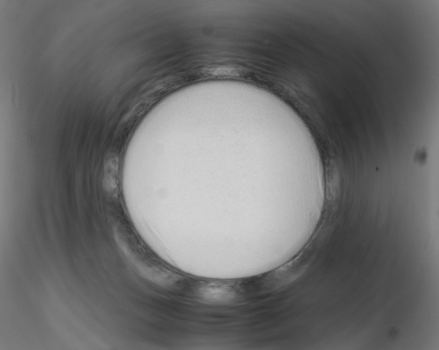 X0000115540175200912181538