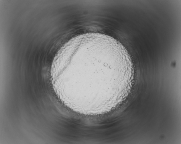 X0000115540177200912181538