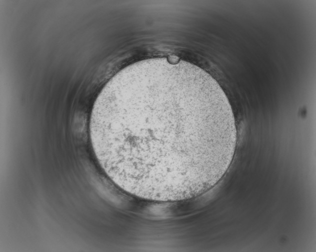 X0000115540178200912181538