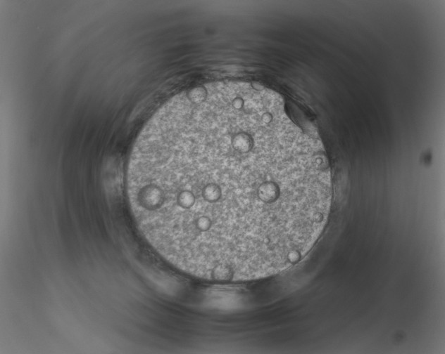 X0000115540179200912181538