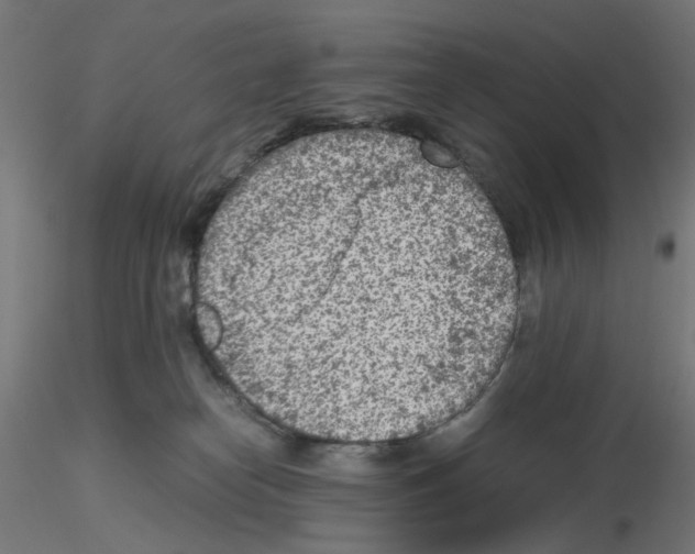 X0000115540182200912181538