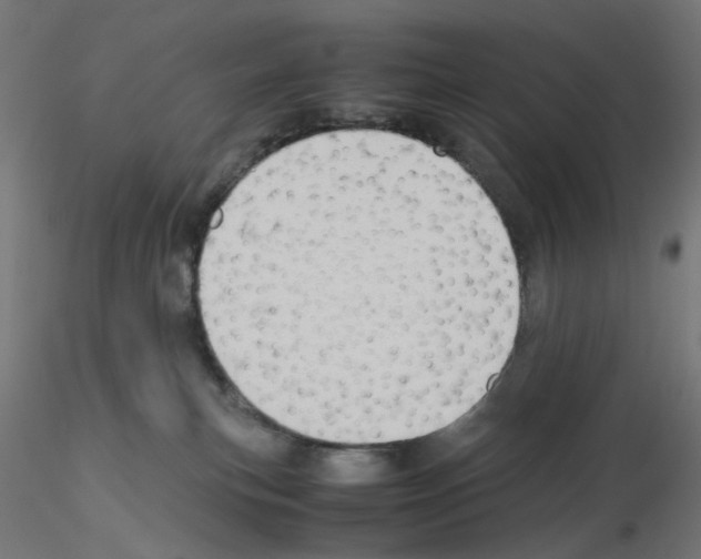 X0000115540183200912181538