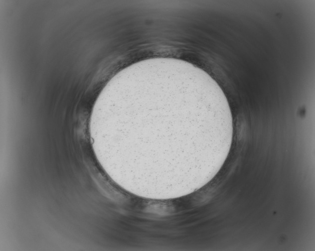 X0000115540185200912181538