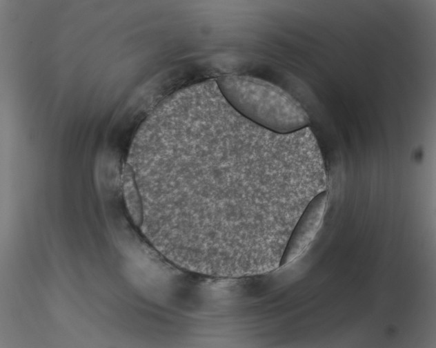 X0000115540186200912181538