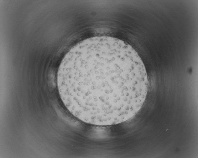 X0000115540187200912181538