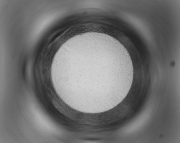 X0000115540189200912181538