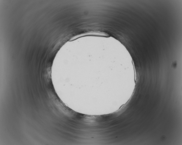 X0000115540190200912181538